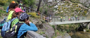 scouts en ruta