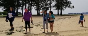 scouts na costa