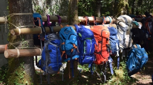 mochilero scout