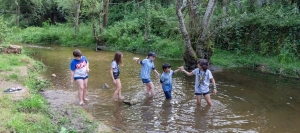 scouts no medio do regato